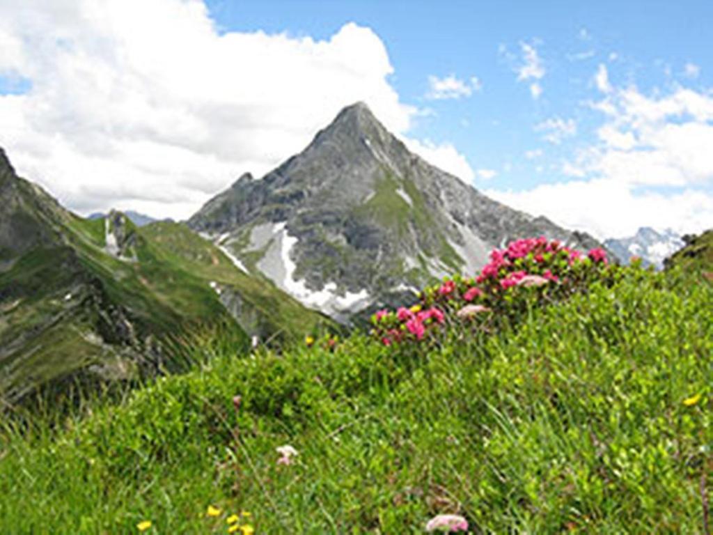 Gaestehaus Alpengruss Mayrhofen Exterior photo